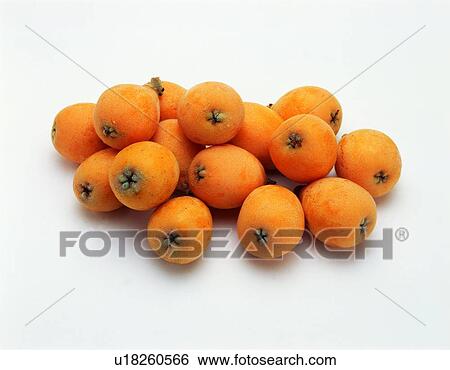 Stock Photograph - fruit, fresh, yellow, loquat, its fruit. Fotosearch