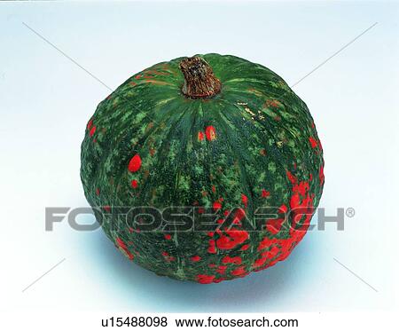 fruit, fresh, yellow, pumpkin View Large Photo Image Stock Photo - fruit, fresh, yellow, pumpkin. Fotosearch