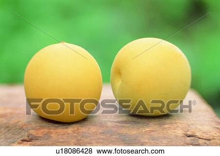 fruit, light yellow, pear, fresh View Large Photo Image Stock Photo - fruit, light yellow, pear, fresh. Fotosearch