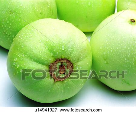fruit, muskmelon, green, oriental melon, fresh View Large Photo Image Stock Photo - fruit, muskmelon, green, oriental melon, fresh. Fotosearch