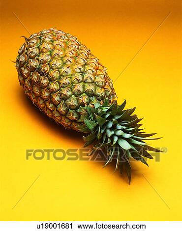 fruit, thorn, fresh, pineapple View Large Photo Image Stock Image - fruit, thorn, fresh, pineapple. Fotosearch