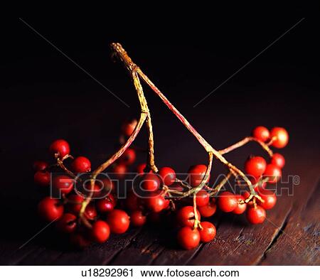 gains, fruit, fresh, red View Large Photo Image Stock Image - gains, fruit, fresh, red. Fotosearch