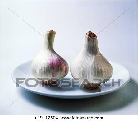 garlic, vegetable, plant, fresh View Large Photo Image Picture - garlic, vegetable, plant, fresh. Fotosearch