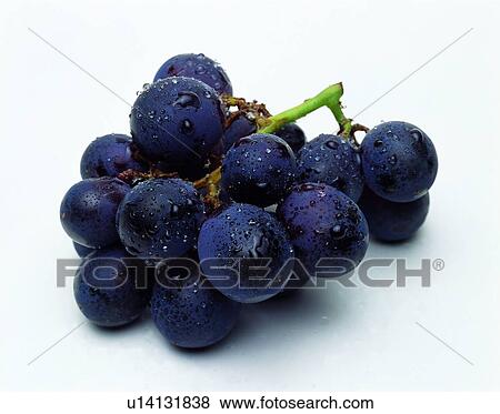 grape, fruit, fresh, purple View Large Photo Image Stock Photo - grape, fruit, fresh, purple. Fotosearch