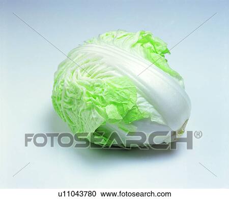 green, fresh, vegetable, white, Chinese cabbage View Large Photo Image Stock Image - green, fresh, vegetable, white, Chinese cabbage. Fotosearch