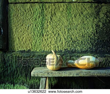 Stock Image - pumpkin, fresh, yellow, fruit. Fotosearch