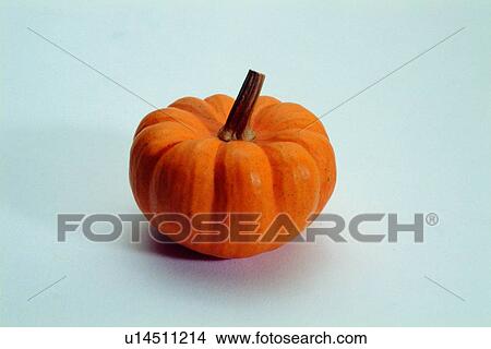 pumpkin, yellow, fresh, fruit View Large Photo Image Picture - pumpkin, yellow, fresh, fruit. Fotosearch