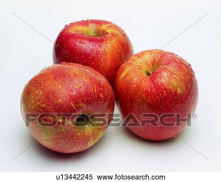 red, fruit, fresh, apple View Large Photo Image Stock Photography - red, fruit, fresh, apple. Fotosearch