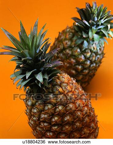 Stock Photograph - thorn, fruit, fresh, pineapple. Fotosearch