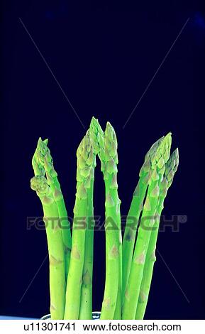 vegetable, fresh, green, asparagus View Large Photo Image Stock Image - vegetable, fresh, green, asparagus. Fotosearch
