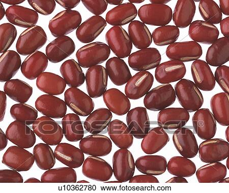 Adzuki Beans View Large Photo Image Stock Image - Adzuki Beans. Fotosearch