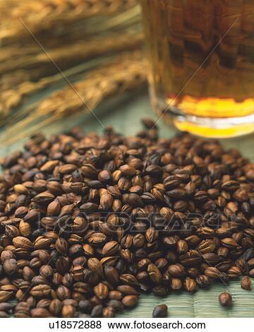Stock Photo - Barley Tea. Fotosearch
