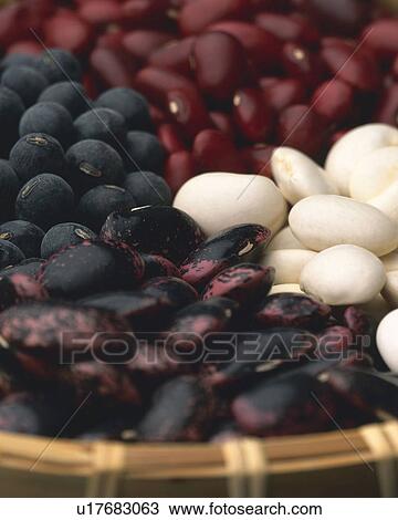 Beans View Large Photo Image Stock Image - Beans. Fotosearch
