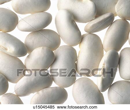 Stock Photography - Beans. Fotosearch
