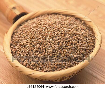 Buckwheat Seed View Large Photo Image Picture - Buckwheat Seed. Fotosearch