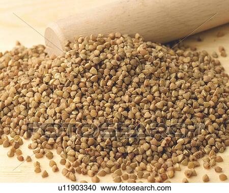 Buckwheat Seed View Large Photo Image Stock Image - Buckwheat Seed. Fotosearch