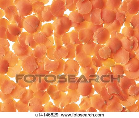 Legume View Large Photo Image Stock Photo - Legume. Fotosearch