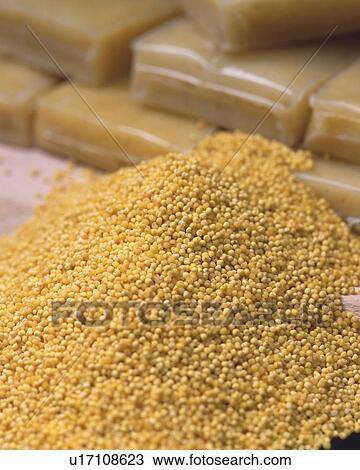 Millet View Large Photo Image Stock Image - Millet. Fotosearch