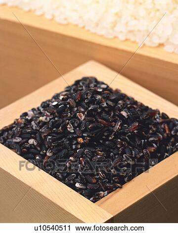 Rice View Large Photo Image Stock Image - Rice. Fotosearch