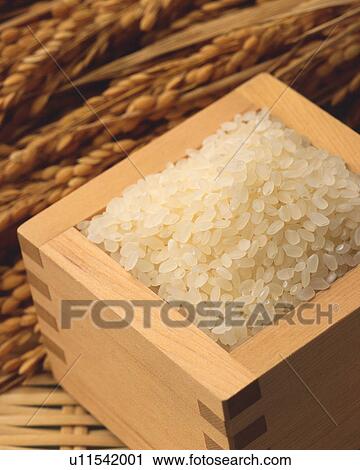 Rice View Large Photo Image Stock Image - Rice. Fotosearch