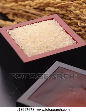 Stock Image - Rice. Fotosearch