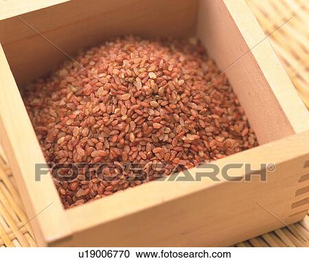 Stock Image - Rice. Fotosearch