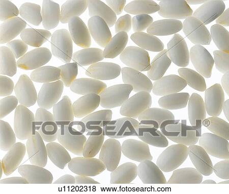 Stock Photo - Rice. Fotosearch