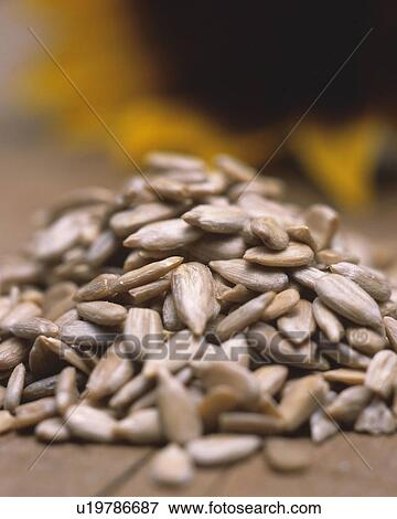 Seed View Large Photo Image Stock Photo - Seed. Fotosearch