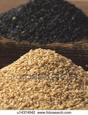 Sesame View Large Photo Image Stock Image - Sesame. Fotosearch