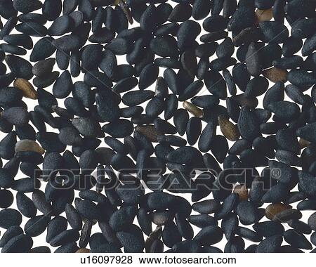 Stock Photo - Sesame. Fotosearch