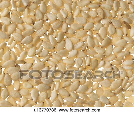 Stock Photograph - Sesame. Fotosearch