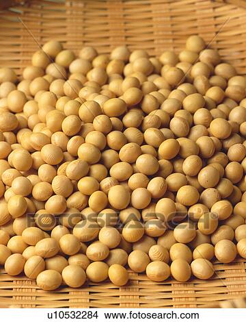 Picture - Soybean. Fotosearch