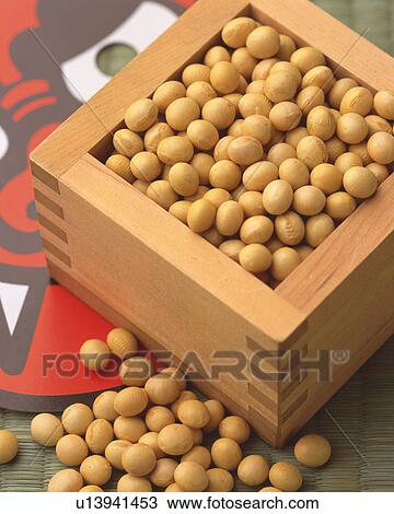 Soybean View Large Photo Image Stock Image - Soybean. Fotosearch