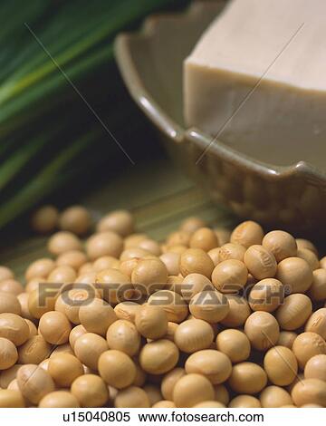 Soybean View Large Photo Image Stock Photography - Soybean. Fotosearch
