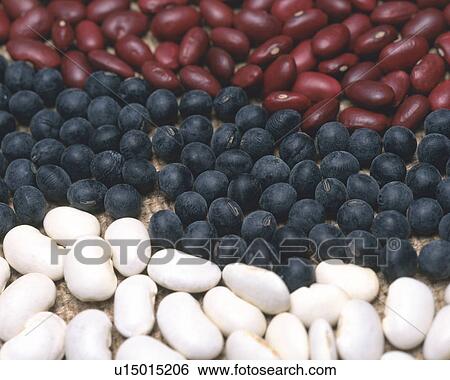 Three Different Kinds of Beans View Large Photo Image Stock Photograph - Three Different Kinds of Beans. Fotosearch