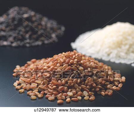 Three Different Kinds of Rice View Large Photo Image Stock Photo - Three Different Kinds of Rice. Fotosearch