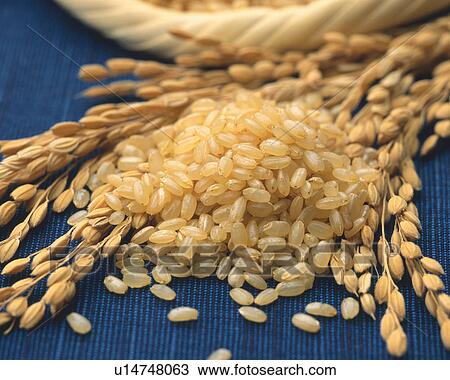 Stock Image - Unpolished Rice. Fotosearch