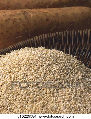Picture - Wheat. Fotosearch