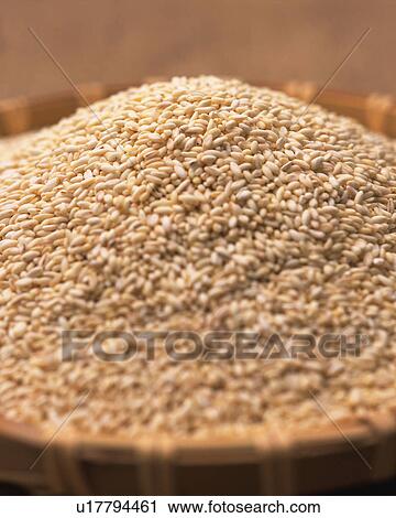 Wheat View Large Photo Image Stock Image - Wheat. Fotosearch