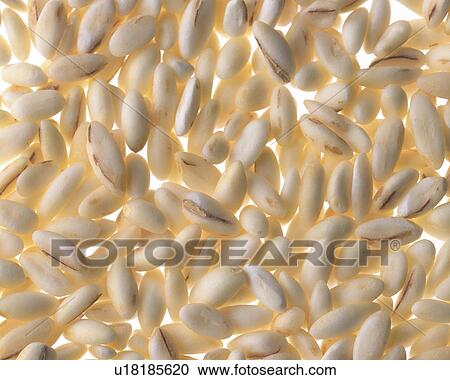 Wheat View Large Photo Image Stock Image - Wheat. Fotosearch