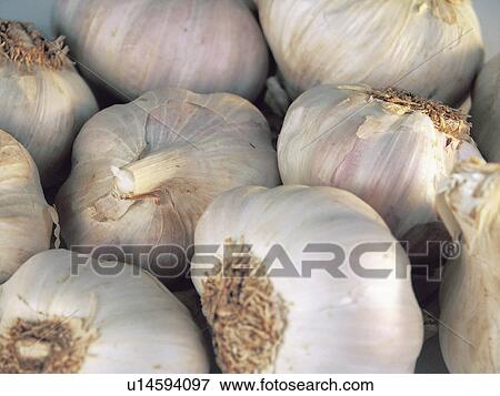 Stock Photo - Ingredient, Ingredient, Food, Garlic, Garlics, Background. Fotosearch