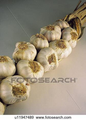 Stock Photo - Ingredient, Ingredients, Food, Garlic, Garlics, String, String of garlic. Fotosearch