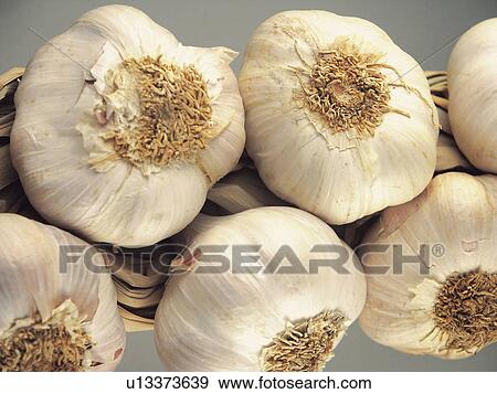 Ingredient, Ingredients, Food, Garlic, Garlics, String, String of garlic View Large Photo Image Stock Photo - Ingredient, Ingredients, Food, Garlic, Garlics, String, String of garlic. Fotosearch