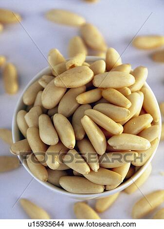 Spice, Spices, Ingredient, Ingredients, Food, Pinenut, Pinenuts View Large Photo Image Picture - Spice, Spices, Ingredient, Ingredients, Food, Pinenut, Pinenuts. Fotosearch