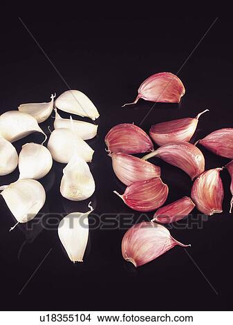 Picture - Spice, Spices, Ingredient, Ingredients, Food, Garlic, Garlics. Fotosearch