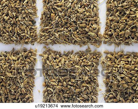 Picture - Spice, Spices, Ingredient, Ingredients, Food, Anise, Anises. Fotosearch