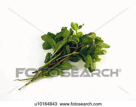 Stock Image - Spice, Spices, Ingredient, Ingredients, Food, Parsley, Leaves. Fotosearch