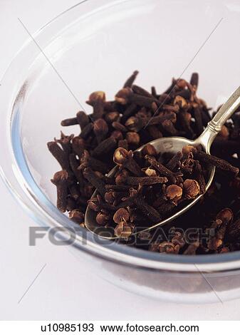 Stock Image - Spice, Spices, Ingredient, Ingredients, Food, Clove, Cloves. Fotosearch