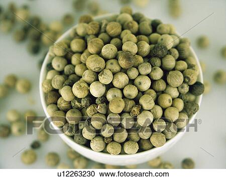 Spice, Spices, Ingredient, Ingredients, Food, Pepper, White Pepper View Large Photo Image Stock Image - Spice, Spices, Ingredient, Ingredients, Food, Pepper, White Pepper. Fotosearch
