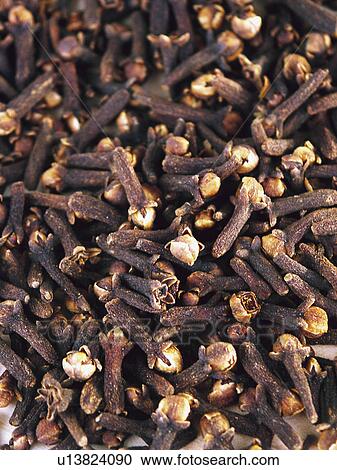 Spice, Spices, Ingredient, Ingredients, Food, Clove, Cloves View Large Photo Image Stock Image - Spice, Spices, Ingredient, Ingredients, Food, Clove, Cloves. Fotosearch